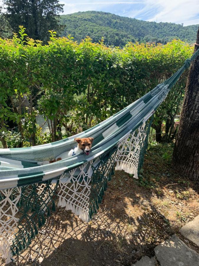 Barco Mediceo B&B In Toscana Carmignano Dış mekan fotoğraf
