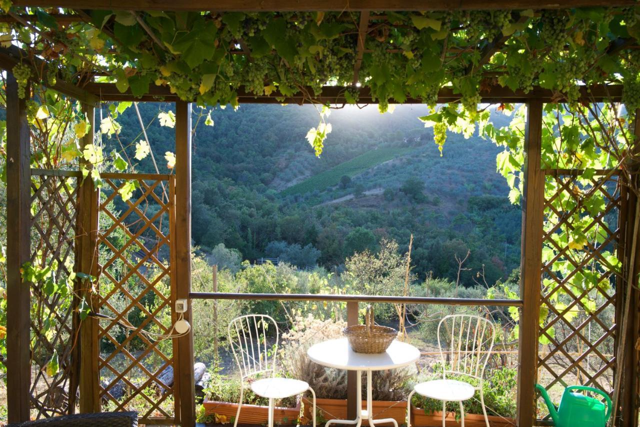 Barco Mediceo B&B In Toscana Carmignano Dış mekan fotoğraf